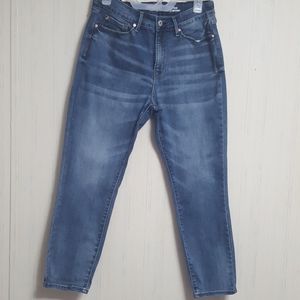 ❄DENIZEN FROM LEVI'S HIGH-RISE ANKLE SKINNY  10 M